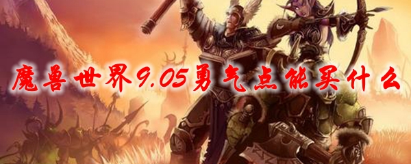 魔兽世界9.05勇气点能买什么