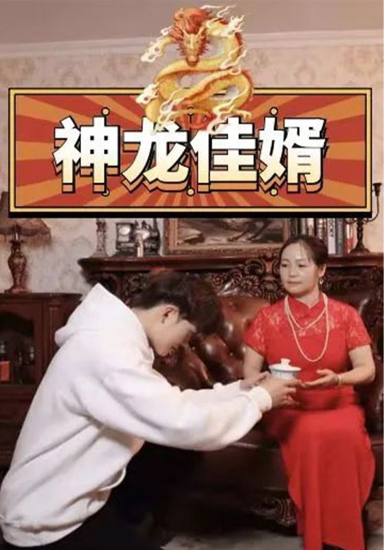 神龙佳婿